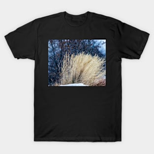 Urban scenery T-Shirt